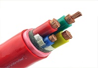 额定电压0.6/lkV氟塑料绝缘氟塑料护套电力电缆